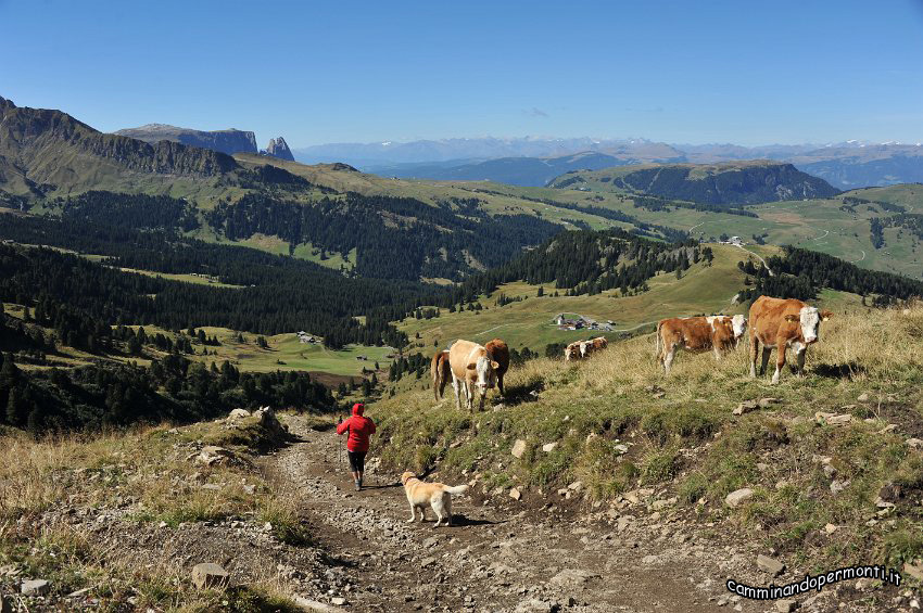 112 Scendiamo sul sentiero 527 verso il Rifugio Zallinger.JPG